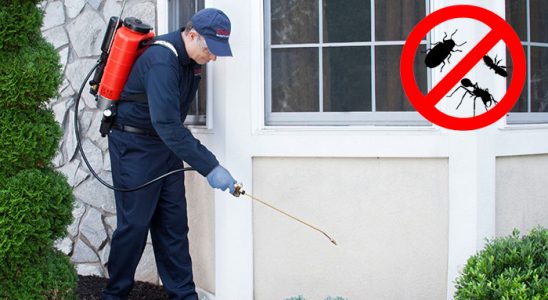 Evka 5 Hamam Böceği İlaçlama böcek ilaçlama ve haşere kontrolü — ilaclama-tr.com